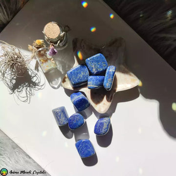 1x Tumbled Lapis Lazuli - Anima Mundi Crystals