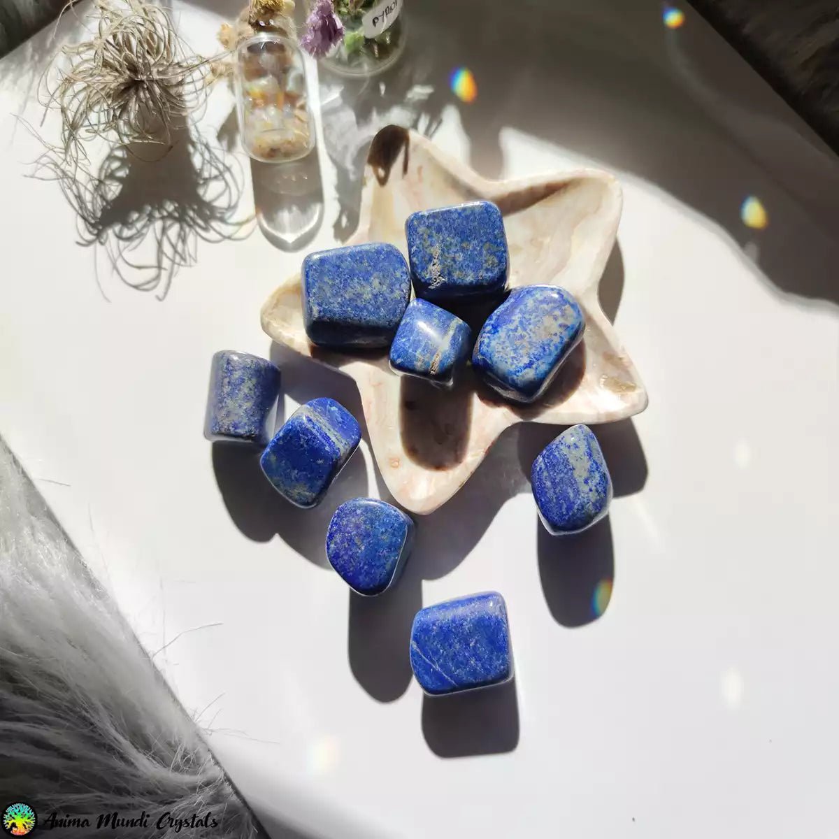 1x Tumbled Lapis Lazuli - Anima Mundi Crystals