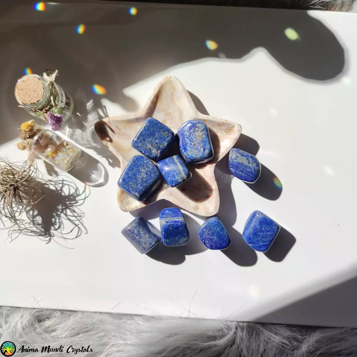 1x Tumbled Lapis Lazuli - Anima Mundi Crystals
