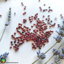 2.5-2.85mm Almandine Garnet Round Cabochons - Anima Mundi Crystals