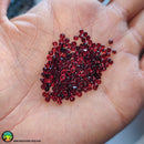 2.5-2.85mm Almandine Garnet Round Cabochons - Anima Mundi Crystals