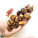 25mm Drilled Round Tiger Eye Bead - Anima Mundi Crystals