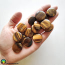 25mm Drilled Round Tiger Eye Bead - Anima Mundi Crystals