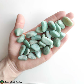 3x Tumbled Amazonite Crystals - Anima Mundi Crystals