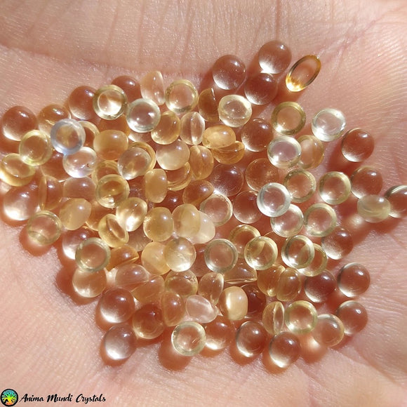 4mm Citrine Round Cabochons - Anima Mundi Crystals