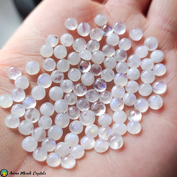 4mm Rainbow Moonstone Cabochons - Anima Mundi Crystals