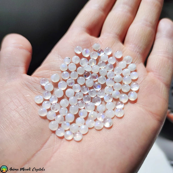 4mm Rainbow Moonstone Cabochons - Anima Mundi Crystals