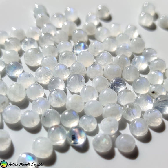 4mm Rainbow Moonstone Cabochons - Anima Mundi Crystals