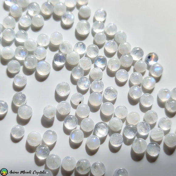 5mm Rainbow Round Moonstone Cabochon - Anima Mundi Crystals