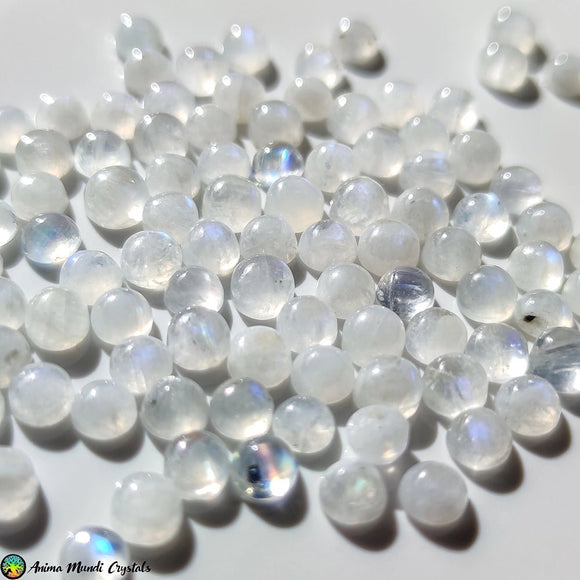 5mm Rainbow Round Moonstone Cabochon - Anima Mundi Crystals