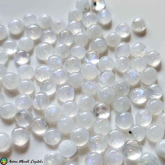 5mm Rainbow Round Moonstone Cabochon - Anima Mundi Crystals