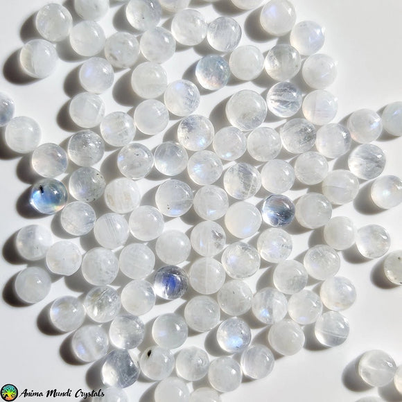 5mm Rainbow Round Moonstone Cabochon - Anima Mundi Crystals