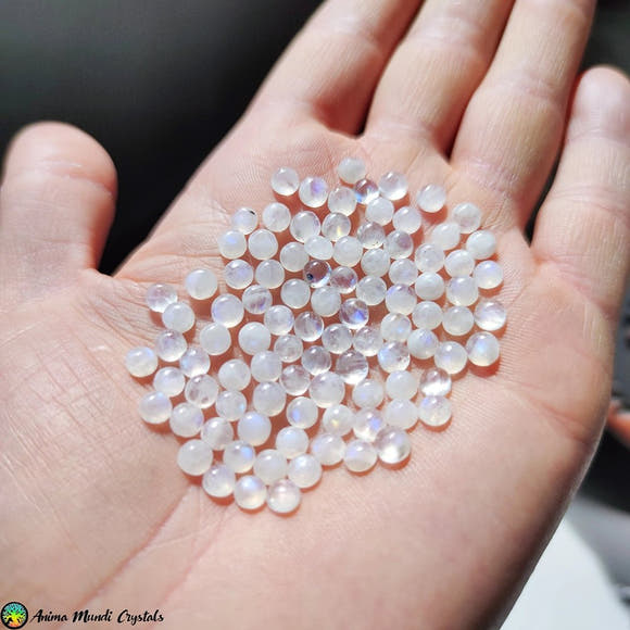 5mm Rainbow Round Moonstone Cabochon - Anima Mundi Crystals