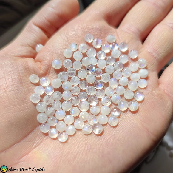 5mm Rainbow Round Moonstone Cabochon - Anima Mundi Crystals