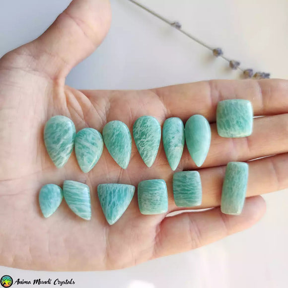 Amazonite Mix Shape Cabochons - Anima Mundi Crystals