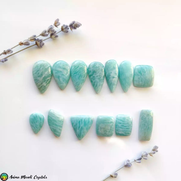 Amazonite Mix Shape Cabochons - Anima Mundi Crystals