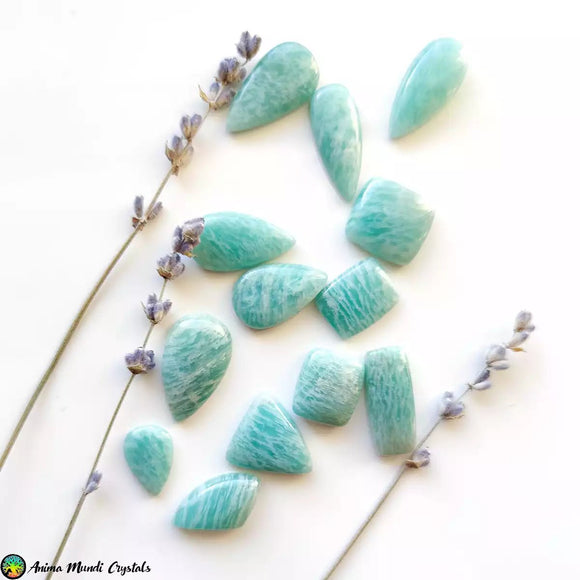 Amazonite Mix Shape Cabochons - Anima Mundi Crystals