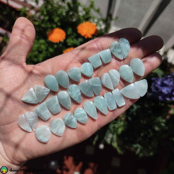 Amazonite Pair Cabochon 1 - Anima Mundi Crystals