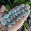 Amazonite Pair Cabochon 1 - Anima Mundi Crystals