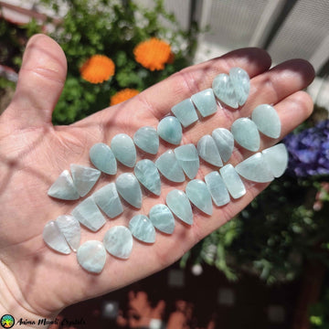 Amazonite Pair Cabochon 1 - Anima Mundi Crystals