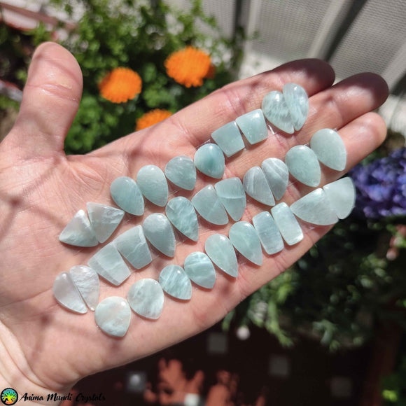 Amazonite Pair Cabochon 1 - Anima Mundi Crystals