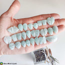 Amazonite Pair Cabochon 1 - Anima Mundi Crystals