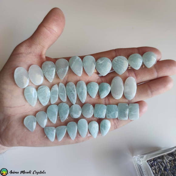 Amazonite Pair Cabochons 2 - Anima Mundi Crystals