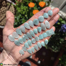 Amazonite Pair Cabochons 2 - Anima Mundi Crystals