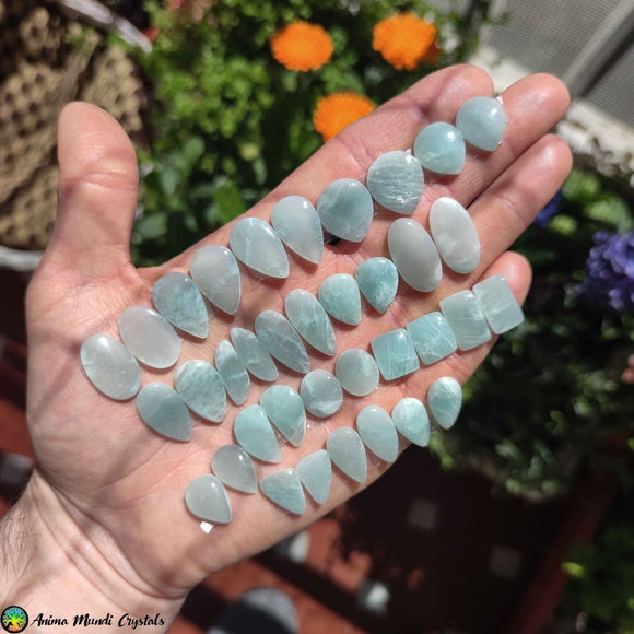 Amazonite Pair Cabochons 2 - Anima Mundi Crystals