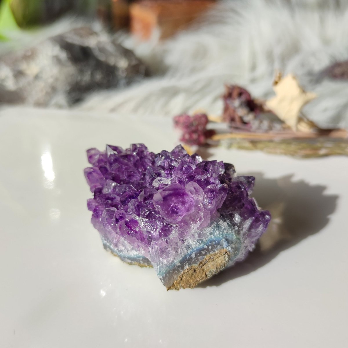 Amethyst-Klobiger Druzy-Kristall – Anima Mundi-Kristalle
