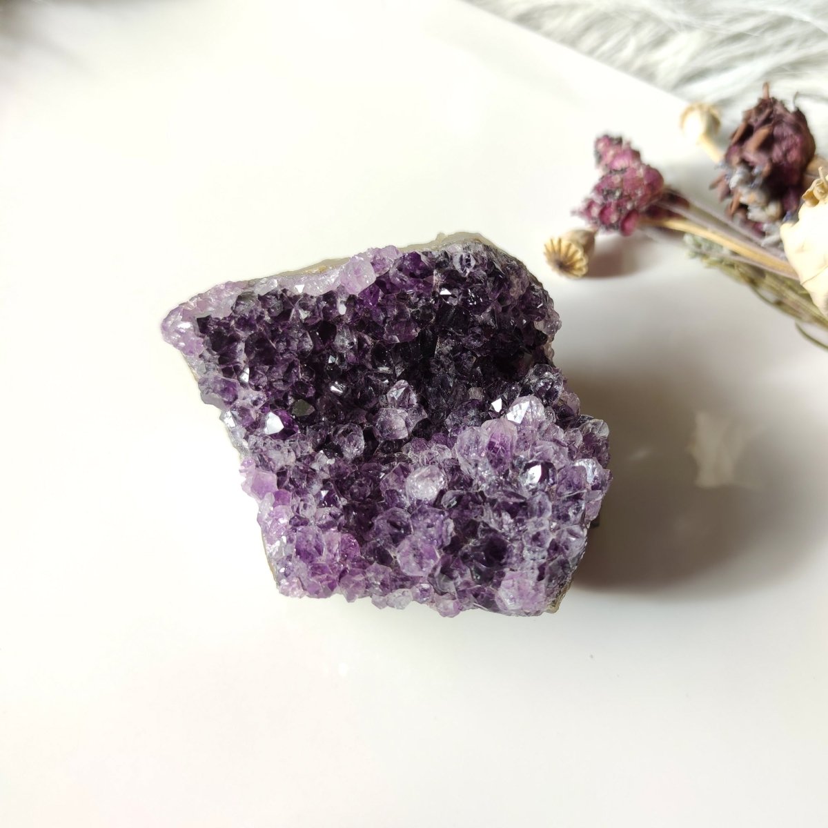 Amethyst-Druzy-Kristall – Anima Mundi-Kristalle