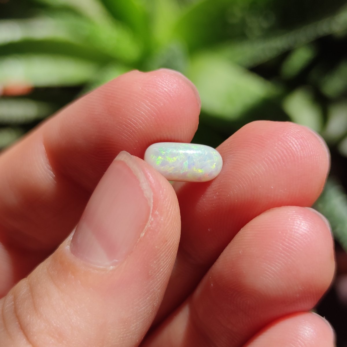 Australian Opal Cabochon nr. 13 - Anima Mundi Crystals