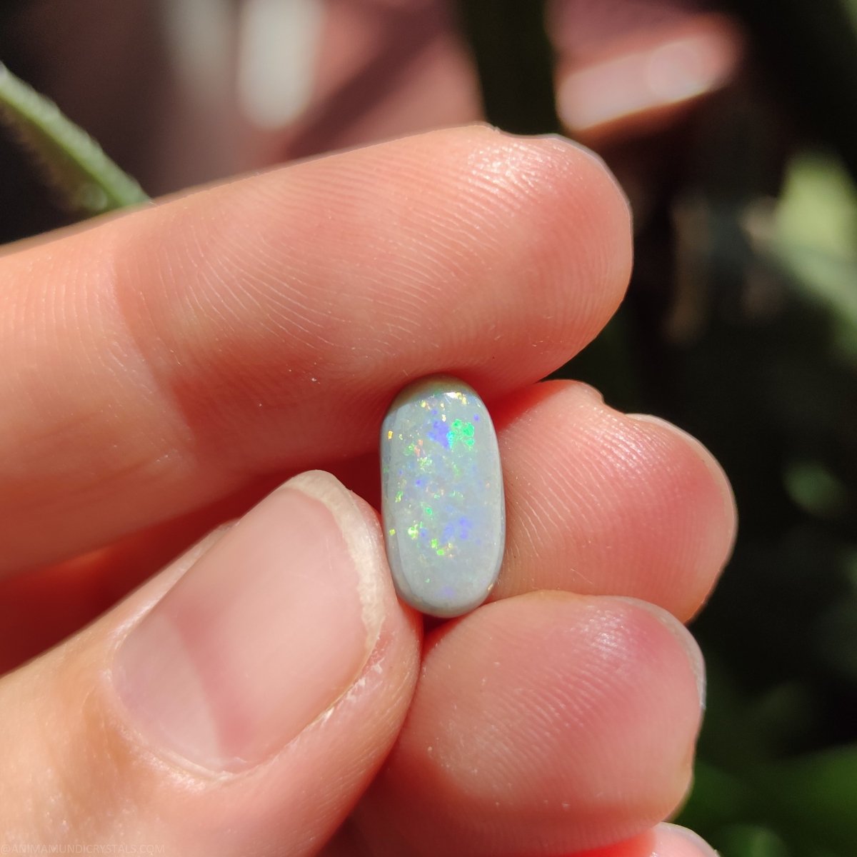 Australian Opal nr.10 - Anima Mundi Crystals