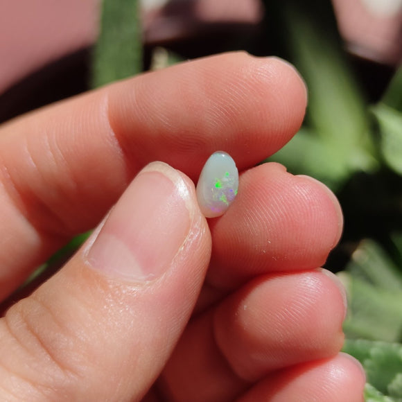 Australian Opal nr.11 - Anima Mundi Crystals