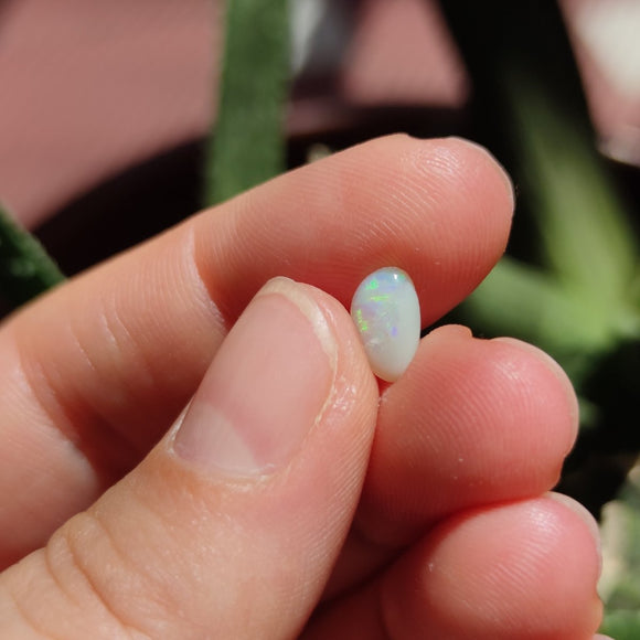 Australian Opal nr.11 - Anima Mundi Crystals