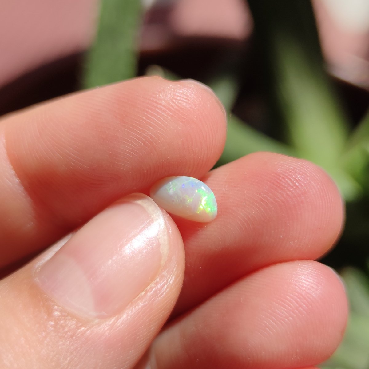Australian Opal nr.11 - Anima Mundi Crystals