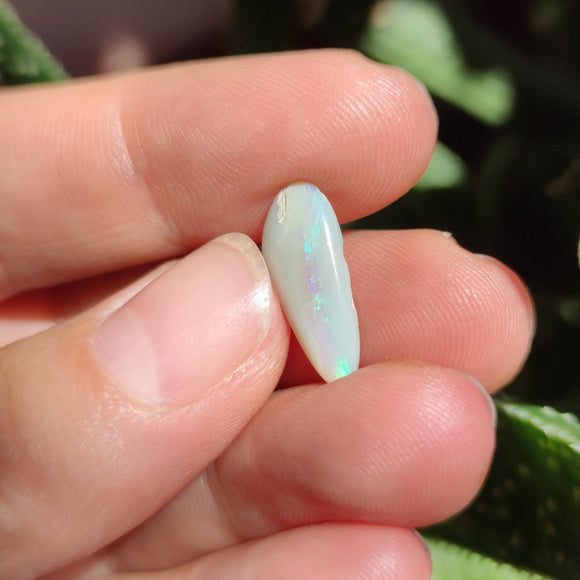 Australian Opal nr.16 - Anima Mundi Crystals
