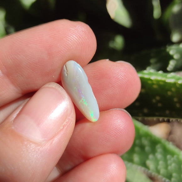 Australian Opal nr.16 - Anima Mundi Crystals