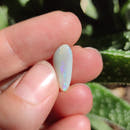 Australian Opal nr.16 - Anima Mundi Crystals