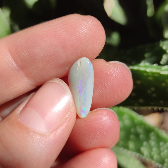 Australian Opal nr.16 - Anima Mundi Crystals