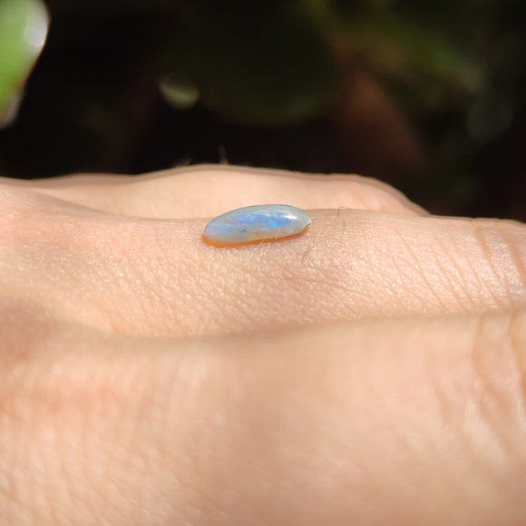 Australian Opal nr.18 - Anima Mundi Crystals