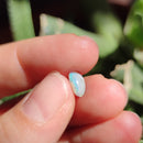 Australian Opal nr.18 - Anima Mundi Crystals