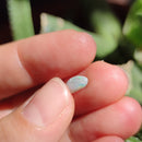 Australian Opal nr.18 - Anima Mundi Crystals