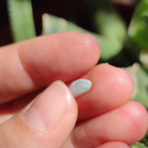 Australian Opal nr.18 - Anima Mundi Crystals