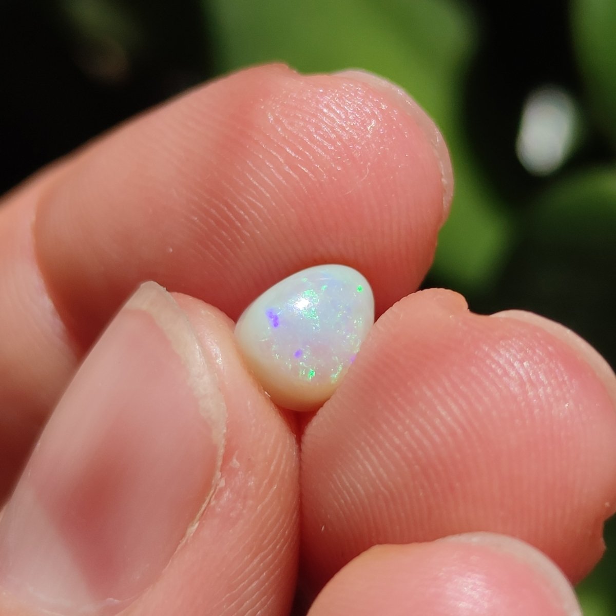 Australian Opal nr.2 - Anima Mundi Crystals