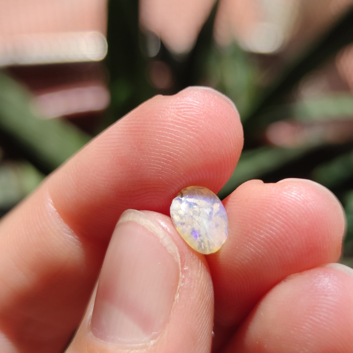 Australian Opal nr.6 - Anima Mundi Crystals