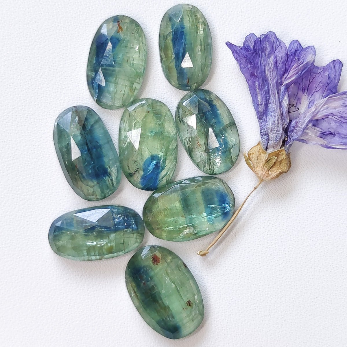 Bicolor Blue Green Kyanite Cabochon Oval - Rose Cut - Anima Mundi Crystals