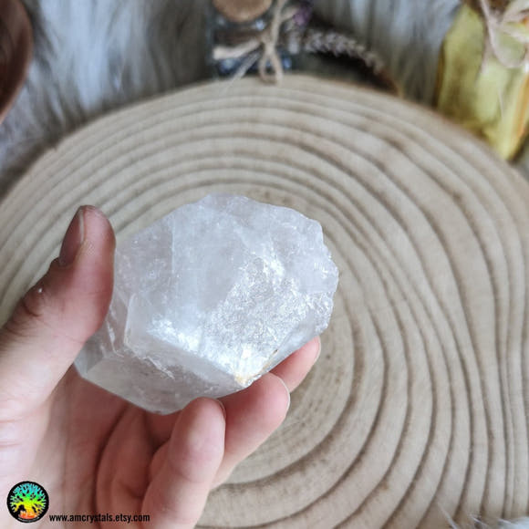 Big Clear Quartz Point With Carbon Inclusions - Anima Mundi Crystals