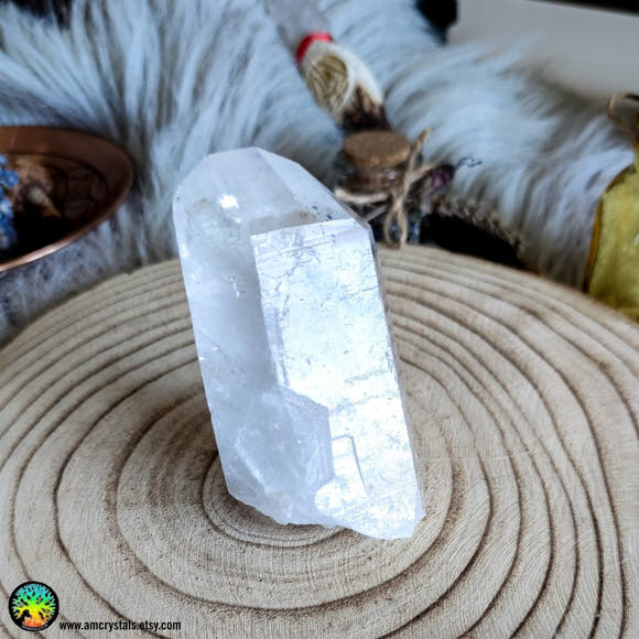 Big Clear Quartz Point With Carbon Inclusions - Anima Mundi Crystals