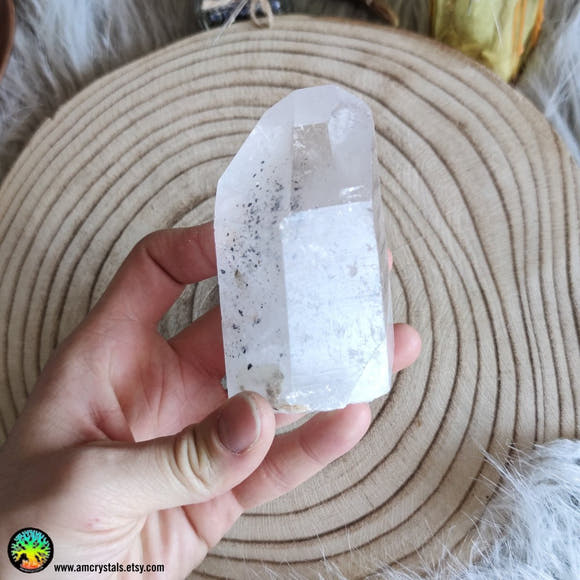 Big Clear Quartz Point With Carbon Inclusions - Anima Mundi Crystals